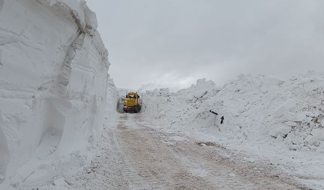 Van’da ekiplerin zorlu karla mücadele çalışması
