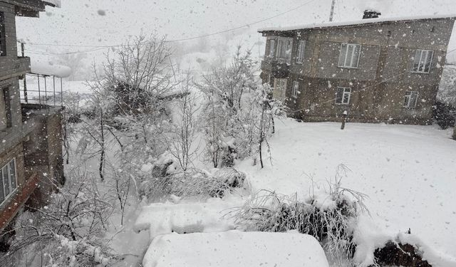 Hakkari’de Mart ayının ortasında kar yağışı