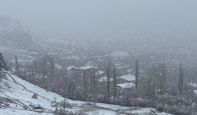 Hakkari baharı beklerken kışa yakalandı!