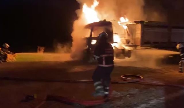 Mardin'de seyir halindeki tırda yangın