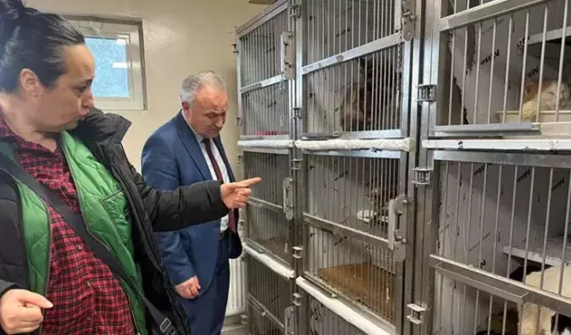 Kötü şartlarda tutulan 102 hayvana el konuldu