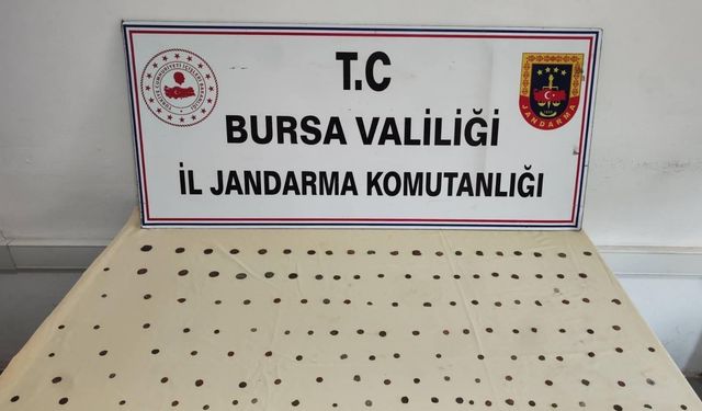 Bursa'da 137 sikke ele geçirildi