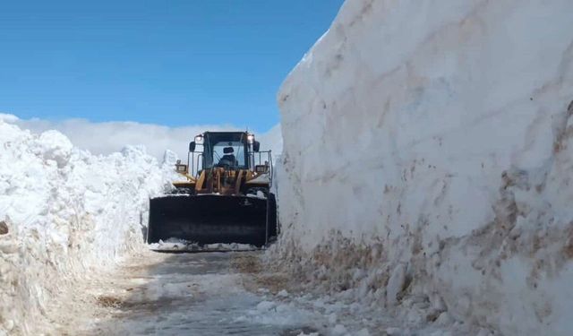 Bitlis’te çığ ve heyelan ulaşımı aksattı