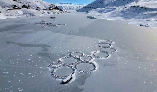 Van’da yağışlar baraj doluluğunu artırdı