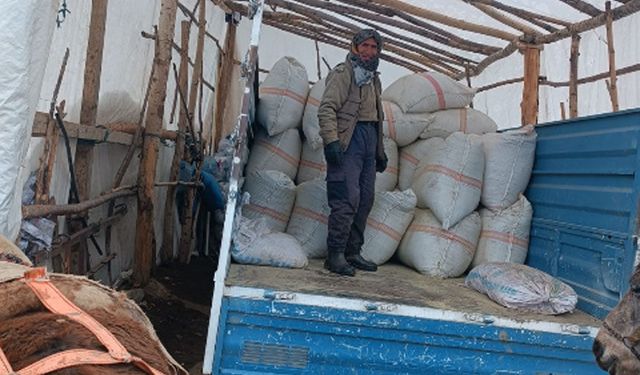 Kışın uzaması Hakkari'de besicileri zorda bıraktı