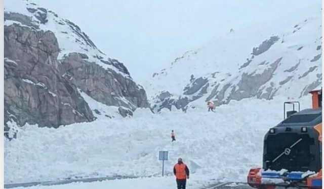 Hakkari-Van karayoluna çığ indi
