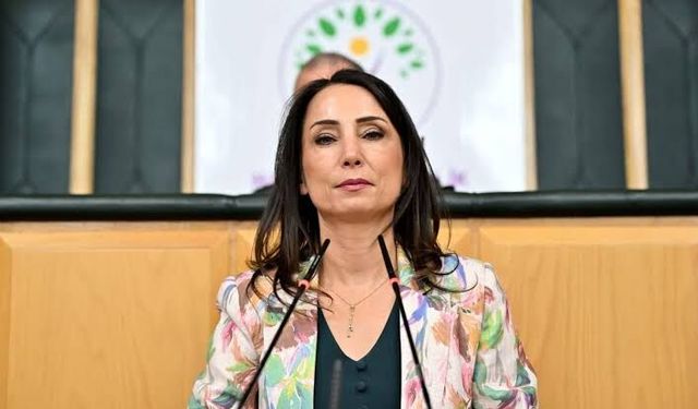 DEM Parti Eş Genel Başkanı Hatimoğulları Hakkari'ye geliyor