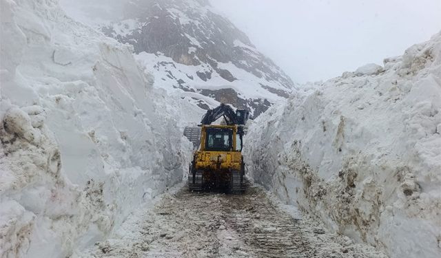 Hakkari'de 56 yerleşim yerinin yolu kapandı