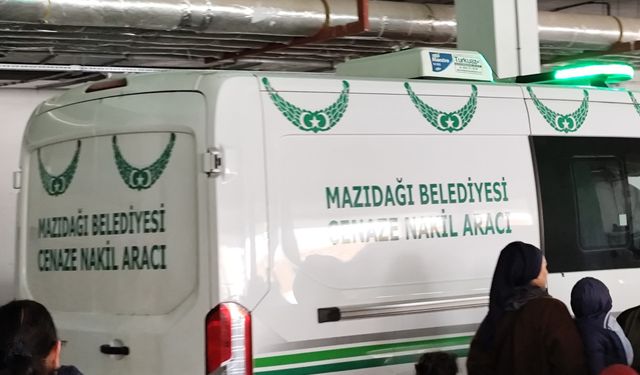 Mardin’de kardeşini öldüren şüpheli tutuklandı