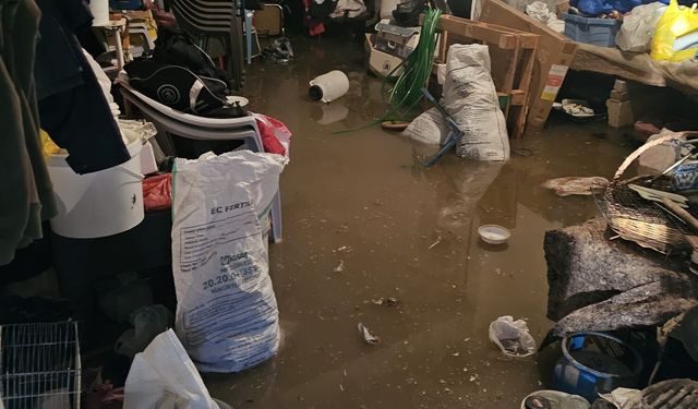 Dereler taştı, evler ile tarım arazilerini su bastı