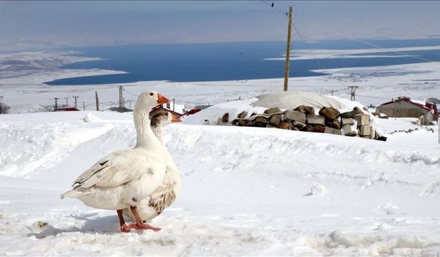 Kışkılı’da karla mücadele baharda da devam ediyor