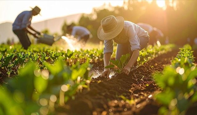 Üre ithalatında gümrük vergisi sıfırlandı