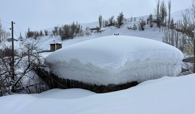 Yüksekova'da evler kara gömüldü