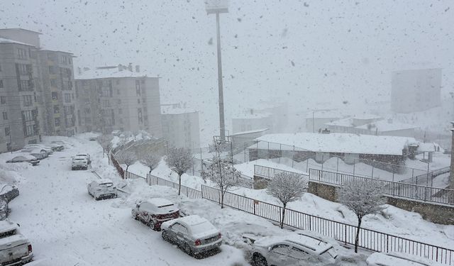 Yüksekova'da kar yağışı etkili oldu