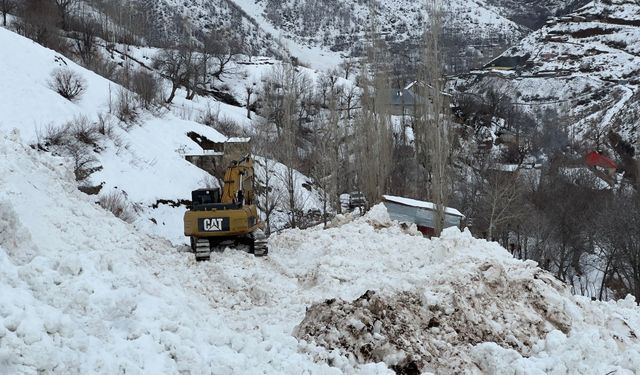 Yüksekova'da köye düşen çığ korkuya neden oldu