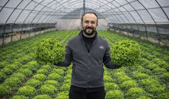 Hakkari seralarında hasat zamanı