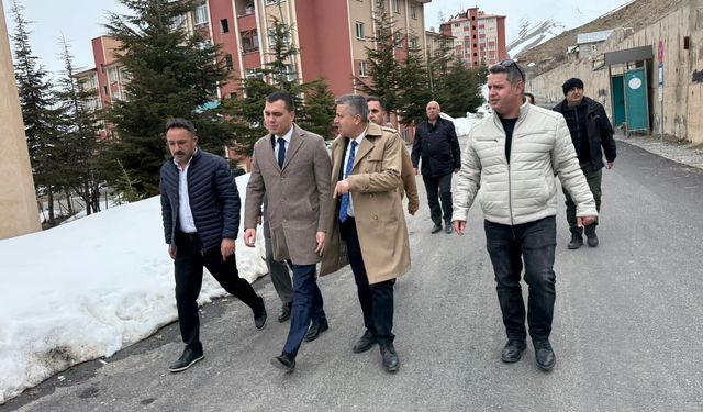 Başkanlardan Hakkari'de kapsamlı inceleme