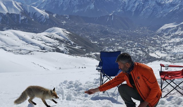 Hakkari’de yaban hayatına duyarlı dokunuş