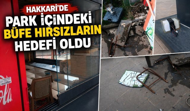Hakkari’de park içindeki büfe hırsızların hedefi oldu