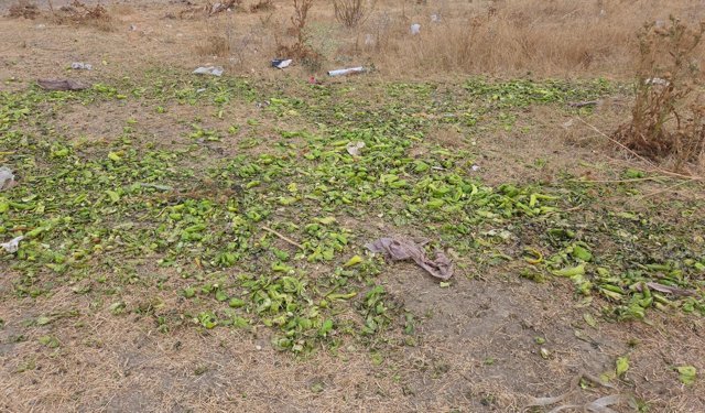 Bakanlık açıkladı: O görüntüler yanıltıcı