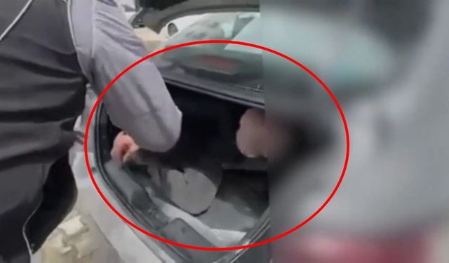 Bingöl’de firari hükümlü, otomobilin bagajında yakalandı