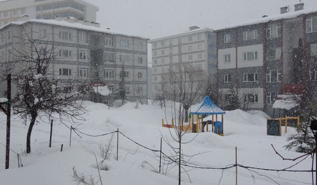 Bitlis'te kardan dolayı 82 köy yolu ulaşıma kapandı