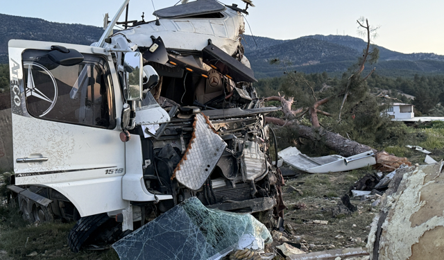 Sebze yüklü TIR ağaca çarparak durabildi
