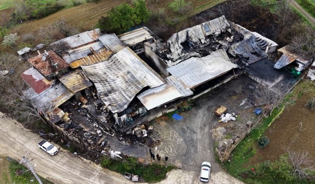 Yangının boyutu, gün ağarınca ortaya çıktı