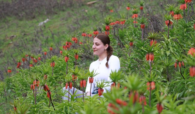 Muş'un zirveleri ters lalelerle renklendi