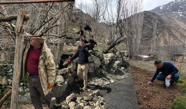 Havaların ısınmasıyla Hakkari’de bahçe sezonu başladı
