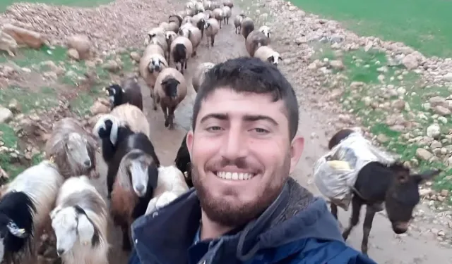 Mardin'de çobanın öldürüldüğü silahlı saldırıya ilişkin 5 tutuklama