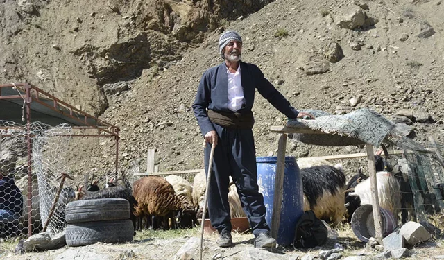 Hakkari’de 2026 Yılı Vekaletle Kurban bedelleri açıklandı