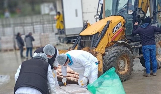 Sakarya’da skandal! 32 ton bozuk tavuk eti ele geçirildi