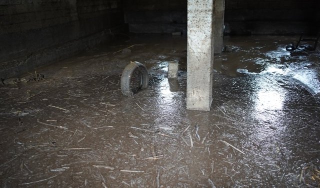 Siirt’te sağanak sele neden oldu; 35 küçükbaş öldü
