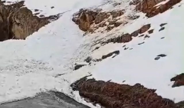Şırnak’ta çığ düşen kara yolu ulaşıma kapandı