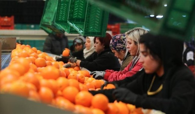 Kadınların ihracattaki payı yüzde 23,5