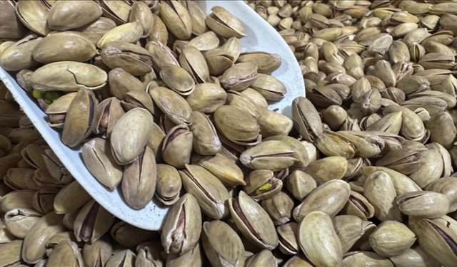 Fıstık ihracatı 32,8 milyon dolara ulaştı