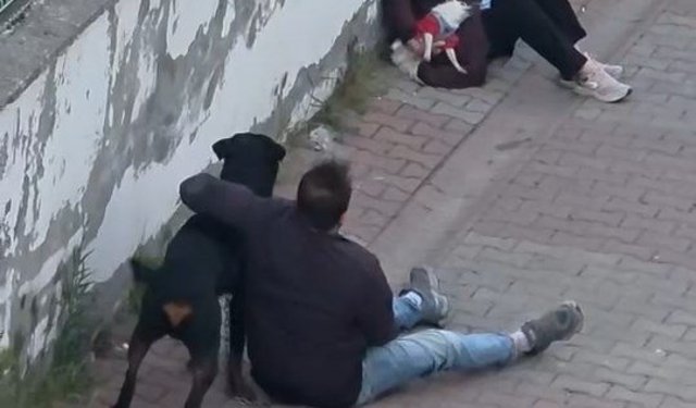 Ağızlıksız gezdirilen rottweiler, küçük ırk köpeğe saldırdı