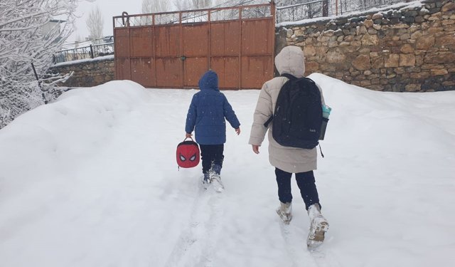 Van'da kar yağışı; 93 yerleşim yeri ulaşıma kapandı