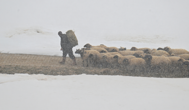 Van'da ilkbaharda kar etkili oldu