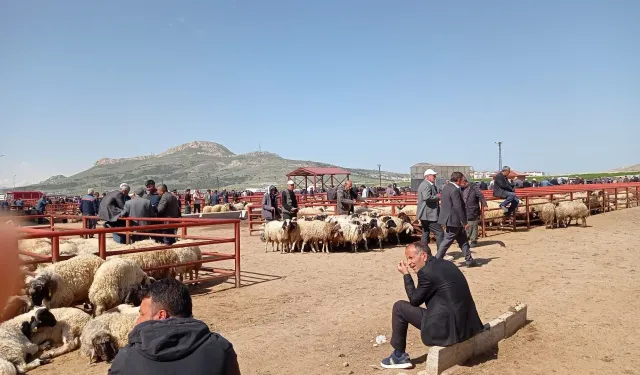 Van'da silahlı kavga: 1 ölü 3 yaralı