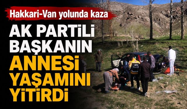Hakkari-Van yolunda kaza: AK Partili başkanın annesi yaşamını yitirdi