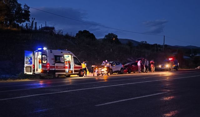Bingöl'de ineğe çarpan otomobildeki 1 kişi yaralandı