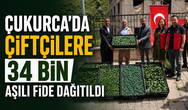 Çukurca'da çiftçilere 34 bin fide aşılı dağıtıldı
