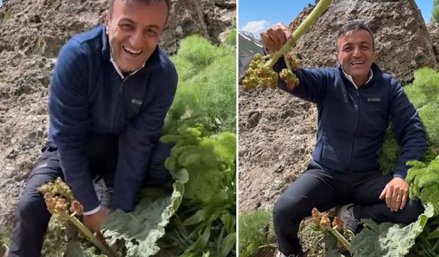 Ersin Korkut Hakkari’de uçkun topladı