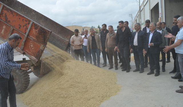 Mardin’de ilk arpa hasadına altın ödülü