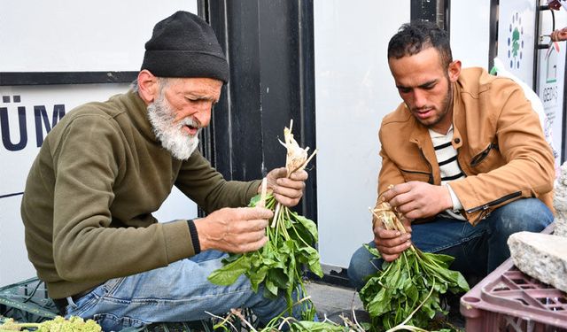 Hakkari'de pancar tezgahları çeşitleniyor
