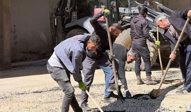 Şemdinli'de yol onarım çalışmaları başladı