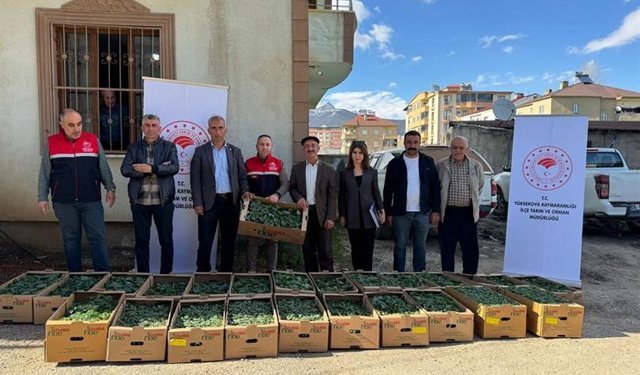 Hakkari'de üreticilere 13 bin 520 sera fidesi dağıtıldı
