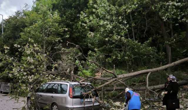Kuvvetli rüzgarda ağaç otomobilin üzerine devrildi